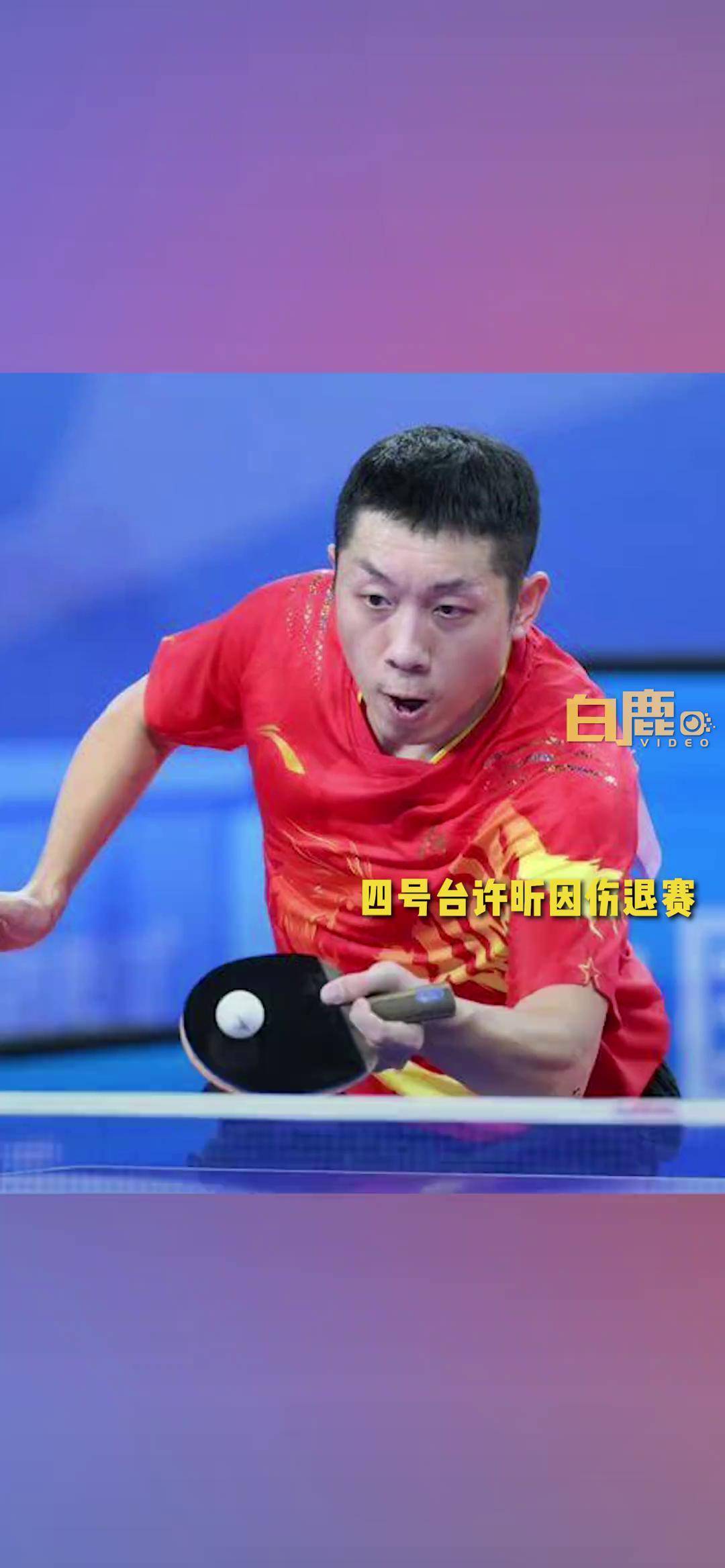 法国乒乓球队爆冷韩国乒乓球队,许昕制霸全场 法国乒乓球队爆冷韩国乒乓球队,许昕制霸全场