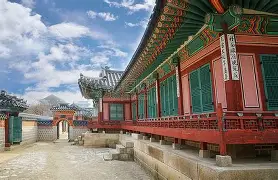 韩国鏖战拜仁，维尼修斯高光表现的简单介绍