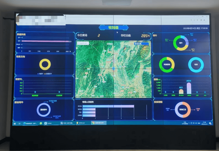 奥运会盘口突变，业内人士深度分析