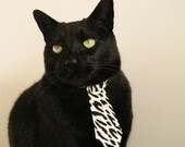 双重征服,当绿茵场的风暴遇见球台的惊世一拍