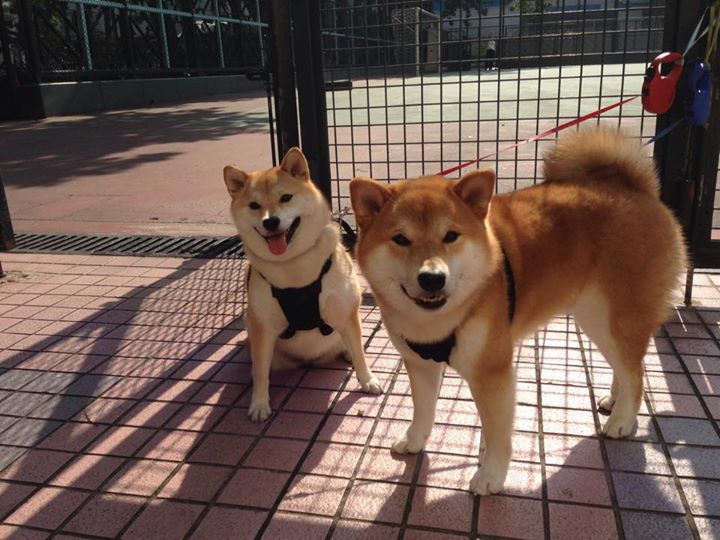 范弗利特,从雷霆到烈焰,一个人如何煮沸一片海