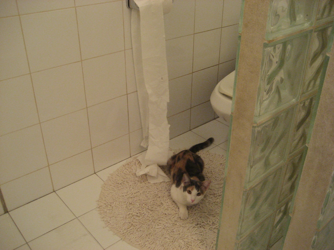 钢铁与探戈的变奏曲，恩佐用教科书式表现导演日本逆袭