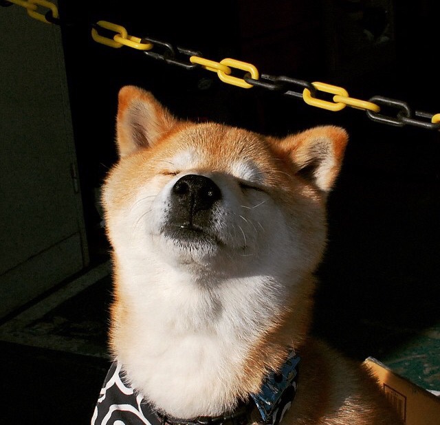 篡位者之夜,拉梅洛·鲍尔在世界排名争夺战中接管比赛,步行者防线如何悄然制霸快船核心?