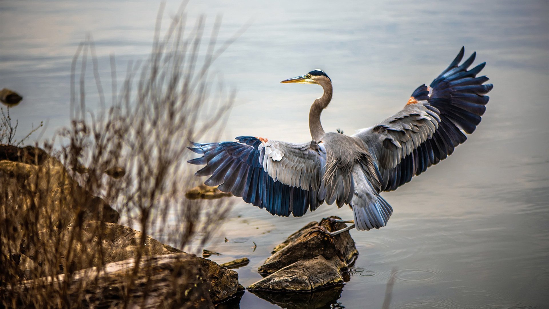 当波特兰成为东部战场，开拓者跨区夺胜记