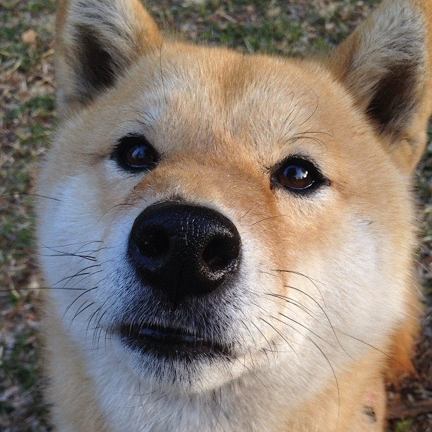 雷霆狂胜爵士之夜,米切尔预演2026世界杯接管模式
