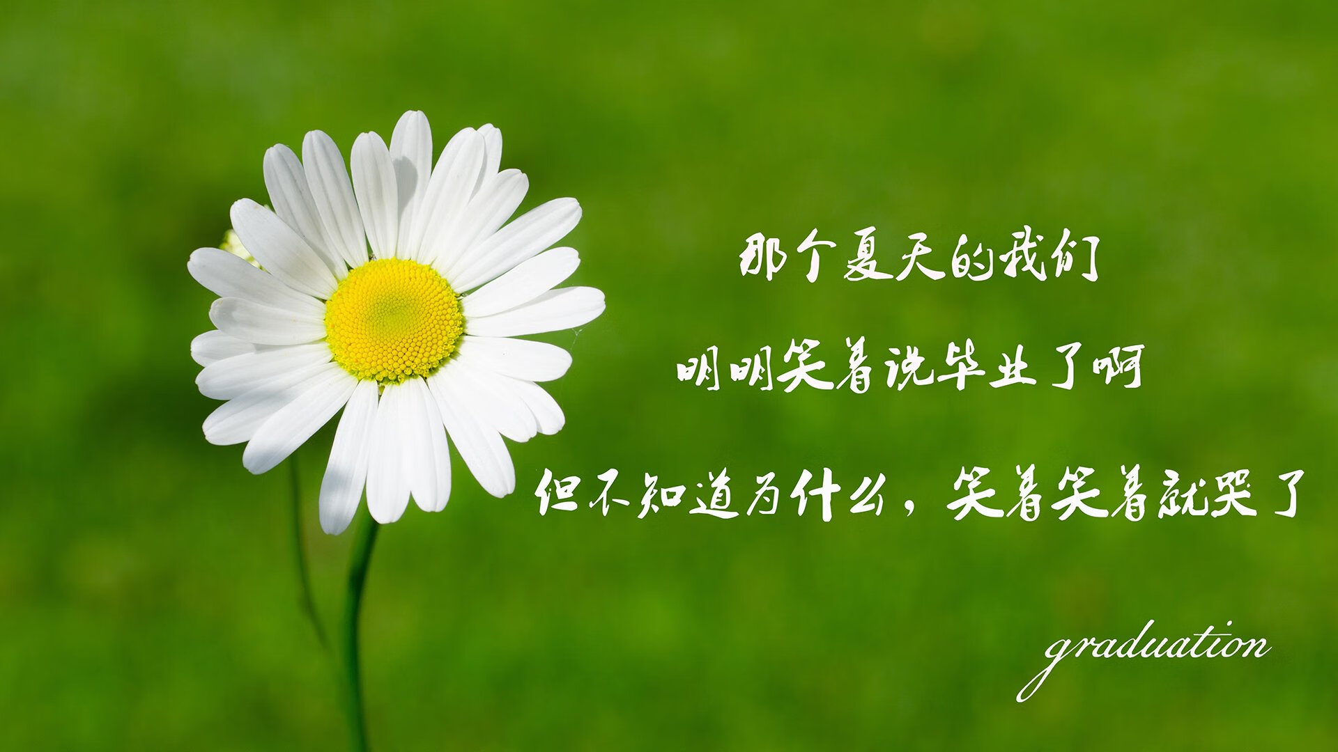袋鼠军团铁蹄踏碎银河战舰!旅澳小将法比尼奥一球成名震慑伯纳乌
