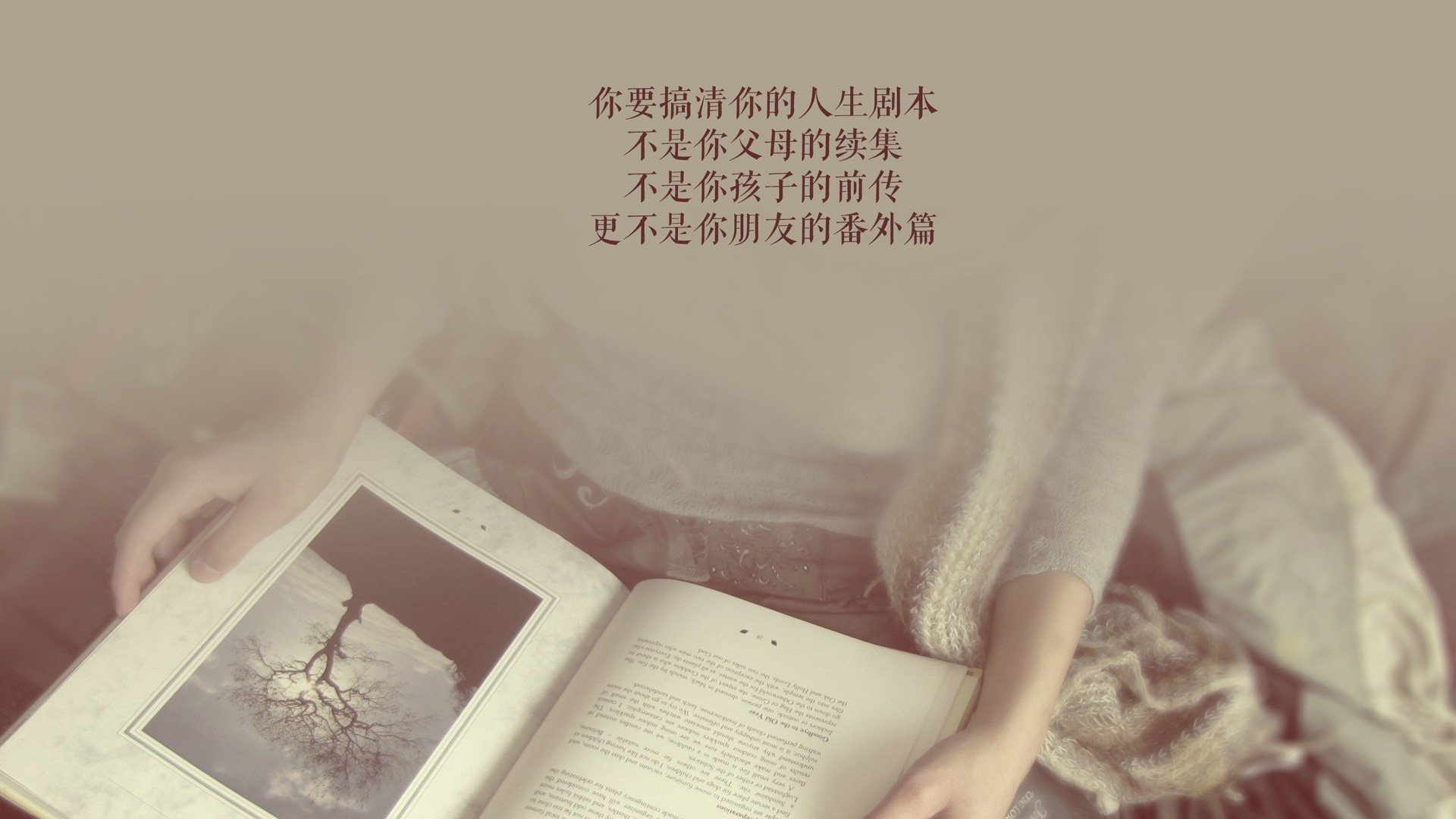 黄蜂终局之舞,拉梅洛·鲍尔撕裂奇才防线的死亡三分钟