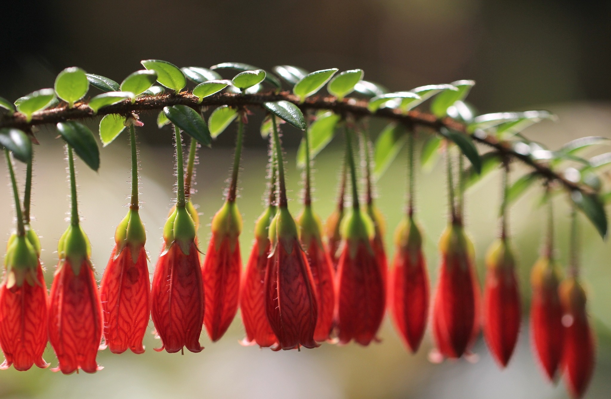 黑金巨轮踏平巴黎，萨内一剑指天际，一场颠覆世界排名的权力交接
