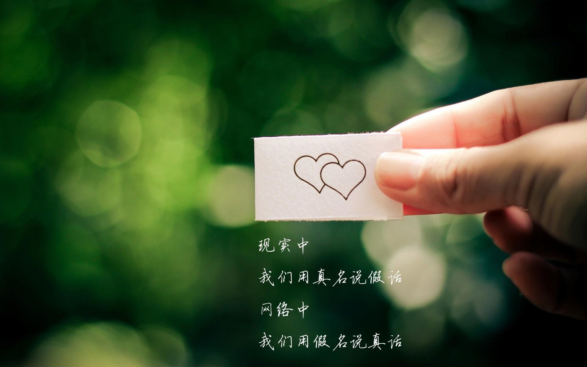 沙漠中的蓝盾,斯洛伐克如何用反击撕碎伊朗,加维点亮2026世界杯H组